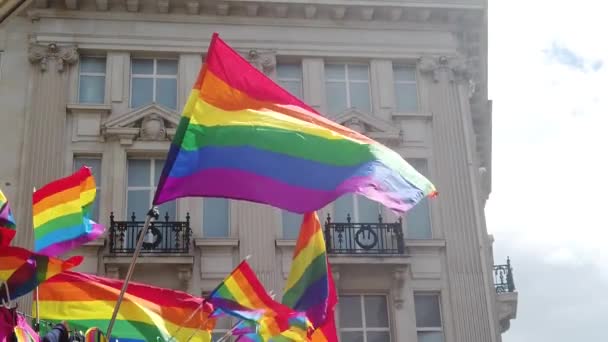 A LGBT gay pride rainbow flag being waved at a pride march celebration event — Stock Video