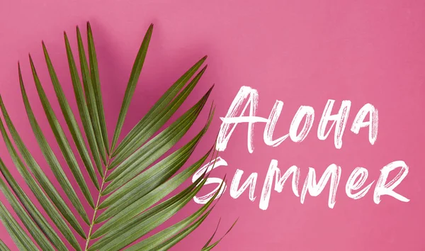 Tropische Palme Blatt auf einem trendigen pastellrosa Hintergrund mit Sommer-Botschaft — Stockfoto