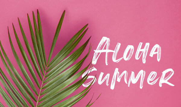 Tropical palm tree leaf on a trendy pastel pink background with summer message