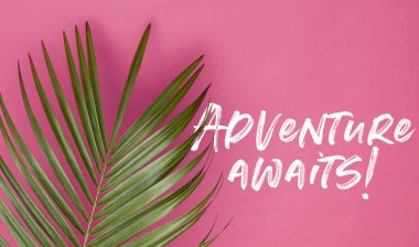 Yaz mesajı ile trendy pastel pembe arka planda tropikal palmiye ağacı yaprağı