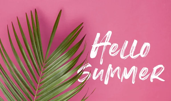Hoja de palmera tropical sobre un fondo rosa pastel de moda con mensaje de verano —  Fotos de Stock