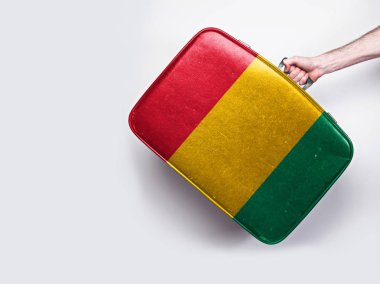 Vintage deri bavul üzerinde Gine bayrağı.