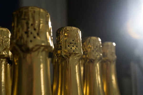 Collecte de bouteilles de champagne ou de prosecco — Photo