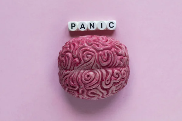 Ανθρώπινος εγκέφαλος με τη λέξη πανικός. Έννοια της ψυχικής υγείας — Φωτογραφία Αρχείου