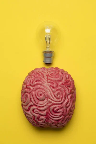 Jasny pomysł. Mózg z żarówką. Inspiracja, innowacje, solu — Zdjęcie stockowe