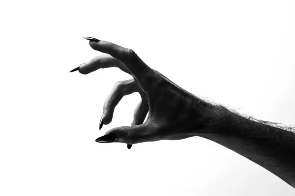 Black creepy halloween monster hand with long nails — Stock Photo, Image