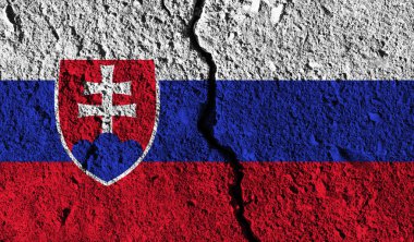 Orta üzerinden çatlak ile Slovakya bayrağı. Ülke bölünmüş con