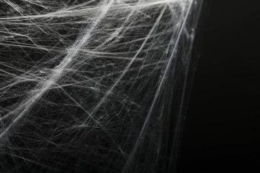 Cadılar Bayramı örümcek ağı örümcekleri ağları siyah arkaplanlı