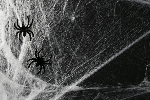 Хэллоуин жуткая паутина пауков паутины с черным фоном — стоковое фото