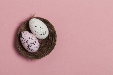 Pastel pembe arka plan üzerinde bir yuvada Paskalya yumurtaları