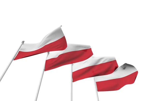 波兰国旗在一排白色背景。3d 渲染 — 图库照片