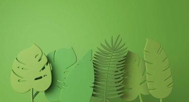 Yaratıcı tropikal orman yaprağı minimal arka plan. 3d Render