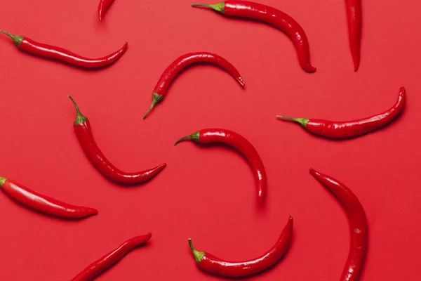 Red chili peppers arranged on a bright red background — Stock Photo, Image