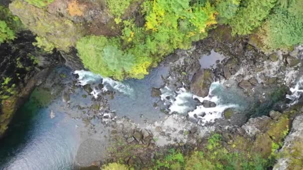 Schilderachtig Uitzicht Rapid Mountain River Overdag — Stockvideo