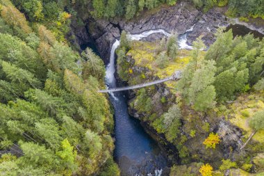 Vancouver Adası'ndaki Elk Falls asma köprüsünün havadan görünümü, 