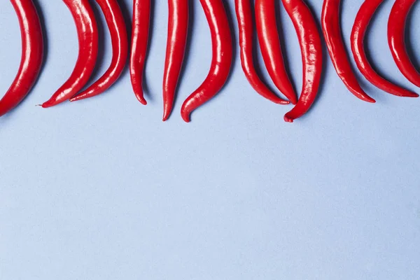 Red chili peppers arranged on a light blue background — Stock Photo, Image