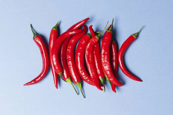 Kırmızı biber açık mavi arka plan üzerinde düzenlenmiş