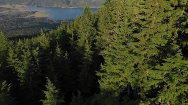 Vista Panorámica Las Montañas Cubiertas Árboles Verdes Durante Día — Vídeo de stock