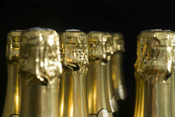 Sammlung von Champagner- oder Proseccoflaschen — Stockfoto