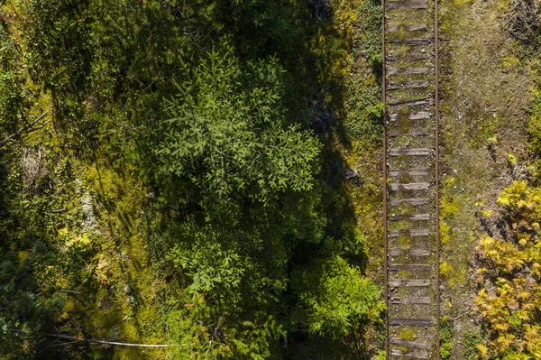 Vista aérea de uma via férrea através da floresta — Fotografia de Stock