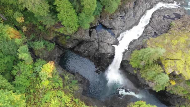 Scenic View Rapid Mountain River Daytime — Stock Video