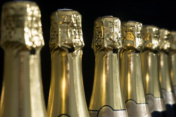 Raccolta di bottiglie di champagne o prosecco — Foto Stock