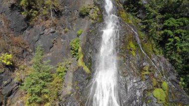 Gündüz leri yeşil bitkilerle çevrili dağ şelalesinin manzara manzarası