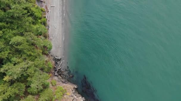Erhöhter Blick Auf Felsigen Strand Mit Wellen Auf Dem Meer — Stockvideo