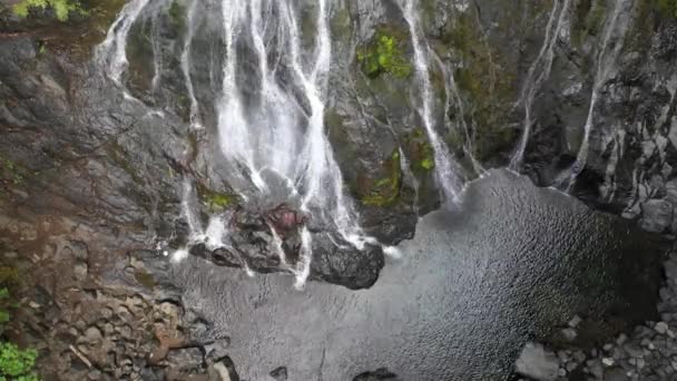 Scenic View Mountain Waterfall Surrounded Green Plants Daytime — Stock Video