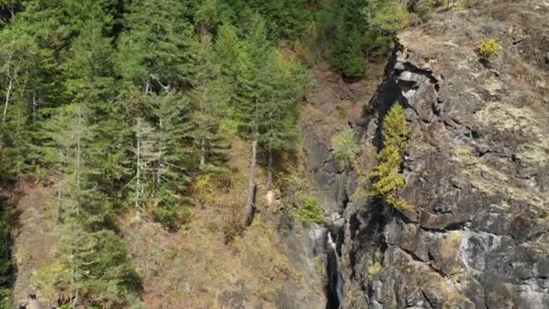 Schilderachtig Uitzicht Berg Waterval Omringd Door Groene Planten Overdag — Stockvideo