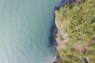 Washington Eyaleti'nde doğal bir kaplama ve orman havadan görünümü