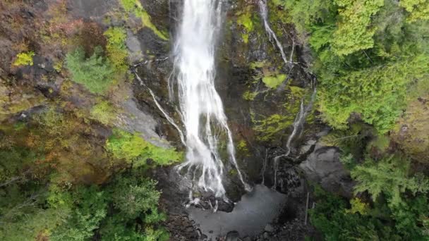 Vista Panoramica Della Cascata Montagna Circondata Piante Verdi Durante Giorno — Video Stock