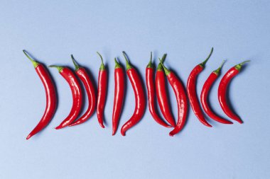 Kırmızı biber açık mavi arka plan üzerinde düzenlenmiş