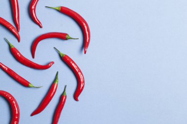 Kırmızı biber açık mavi arka plan üzerinde düzenlenmiş