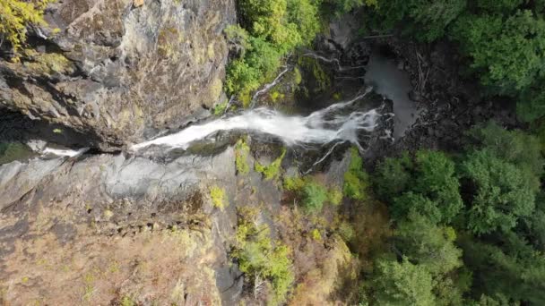 Vista Panoramica Della Cascata Montagna Circondata Piante Verdi Durante Giorno — Video Stock