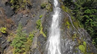 Gündüz leri yeşil bitkilerle çevrili dağ şelalesinin manzara manzarası