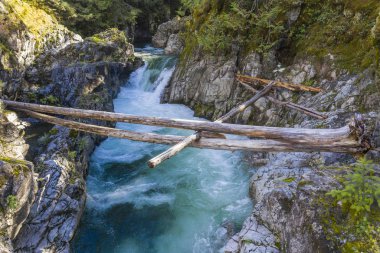Little Qualicum Falls güzel nehir ve şelale, Kanada