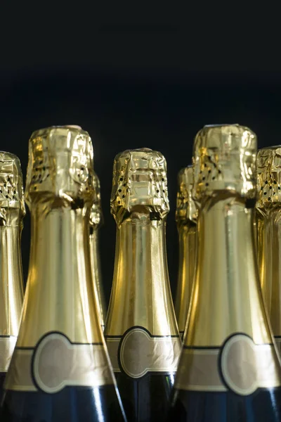 Collection of champagne or prosecco bottles — Stock Photo, Image