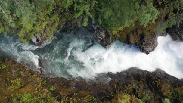 Vista Panorámica Del Río Montaña Rápida Durante Día — Vídeo de stock