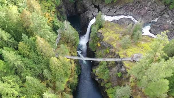 Scenic View Rapid Mountain River Daytime — Stock Video