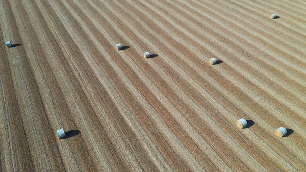 Vue aérienne sur le paysage rural. Balles de foin dans un champ de ferme par une journée ensoleillée — Photo