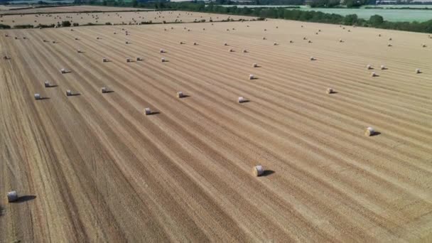 Вид з повітря на сільський пейзаж. Сонячні тюки в сільськогосподарському полі в сонячний день — стокове відео