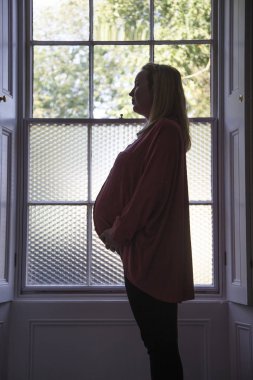 Pencerenin önünde duran prgnant bir kadının silueti
