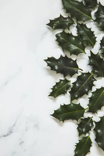 Рождественская планировка сделана из праздничных листьев падуба на белом мраморе — стоковое фото