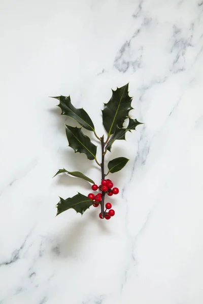 Kerst lay-out gemaakt van feestelijke Holly verlaat op een witte marbl — Stockfoto