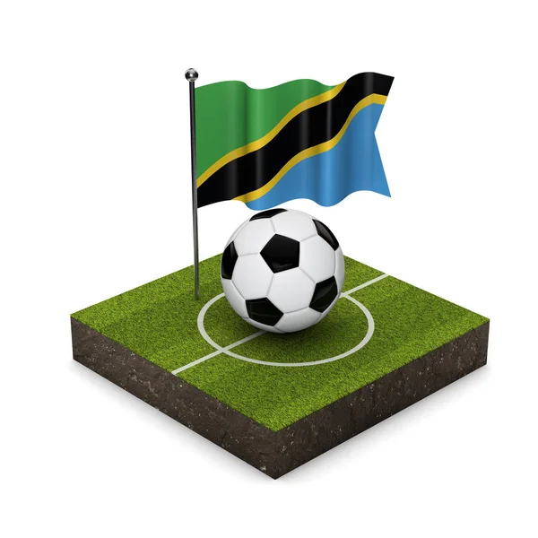 Tanzania flag football concept. Flag, ball and soccer pitch isom