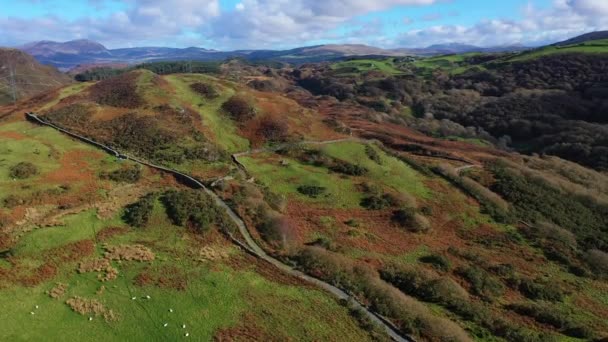 Incredibile Vista Aerea Belle Montagne Coperte Vegetazione Lussureggiante Strada Tortuosa — Video Stock