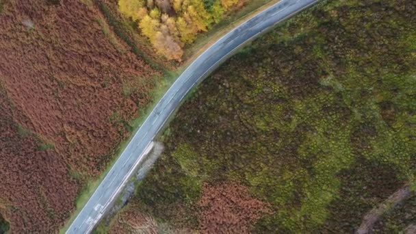 Vue Aérienne Drone Route Sinueuse Belle Forêt Luxuriante Pins Automne — Video