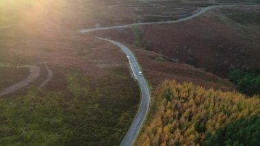 Dolambaçlı yol ve verimli sonbahar çam ormanlarının hava aracı görüntüsü. 