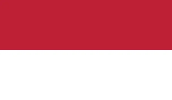 Εθνική Σημαία Χάρτης Επίπεδη Σύγχρονη Διανυσματική Εικονογράφηση Στυλ — Διανυσματικό Αρχείο